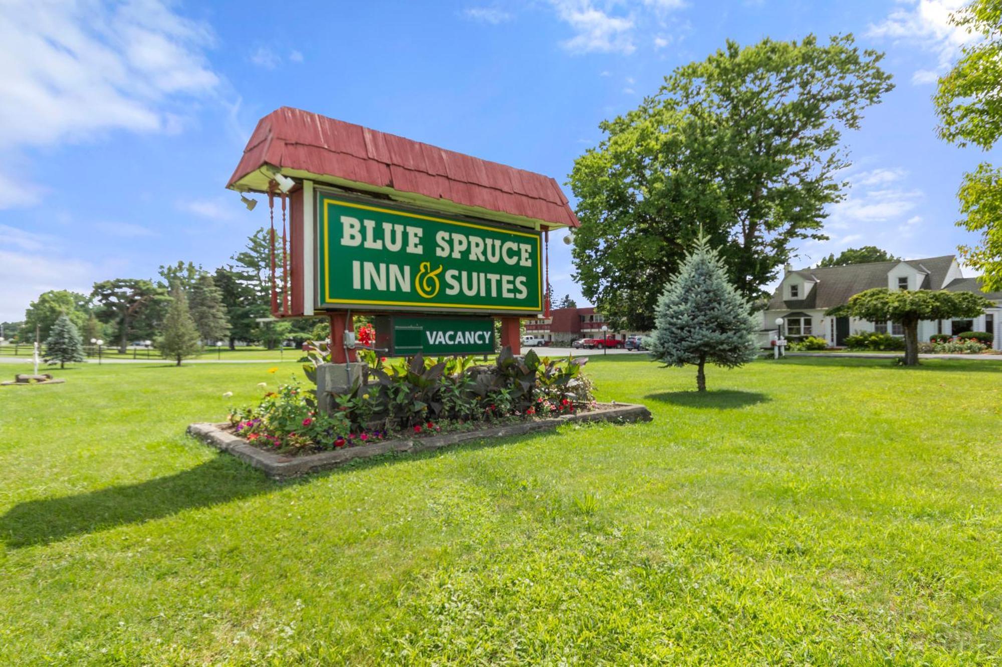 Blue Spruce Inn & Suites Valatie Bagian luar foto
