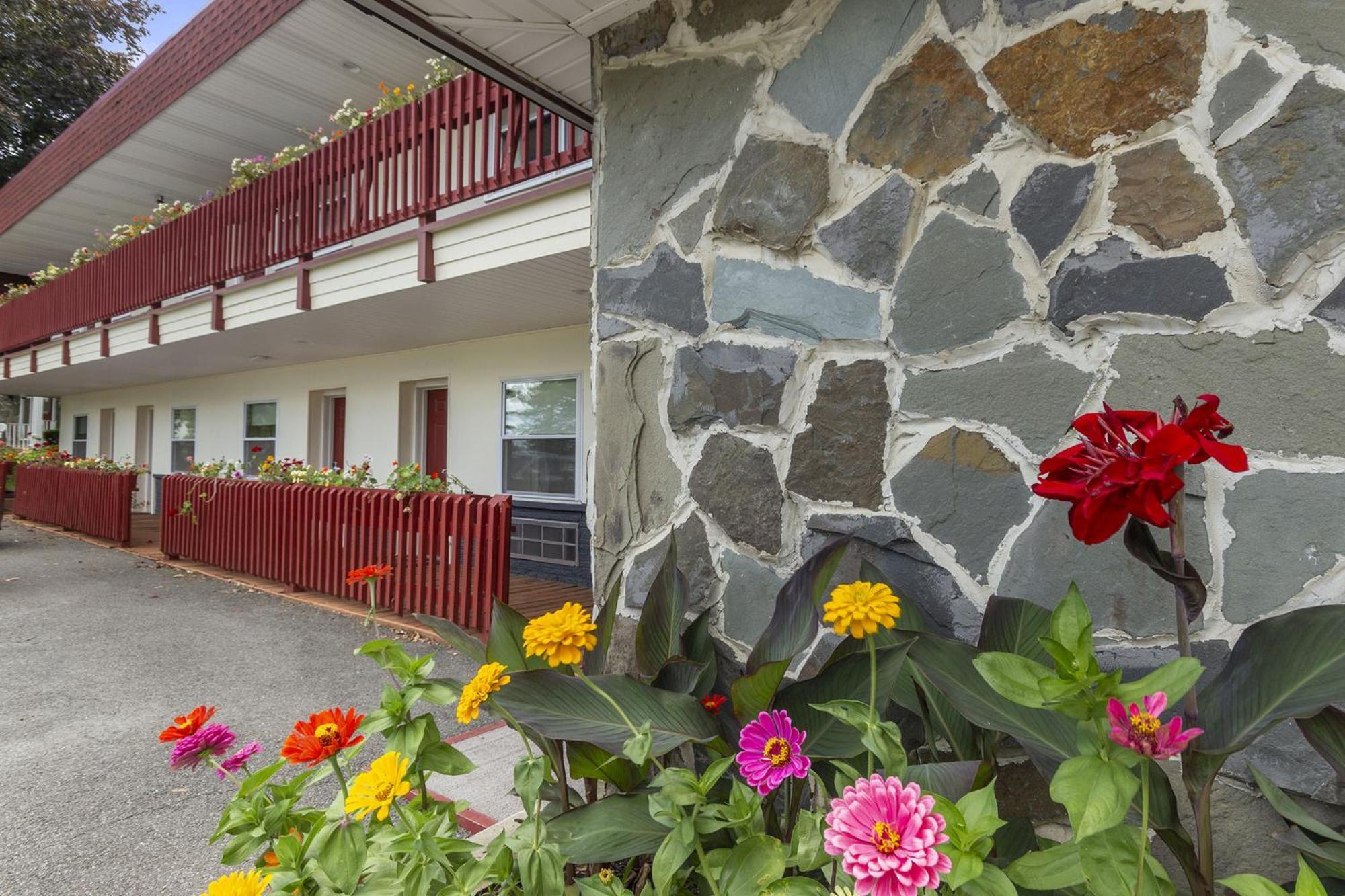 Blue Spruce Inn & Suites Valatie Bagian luar foto